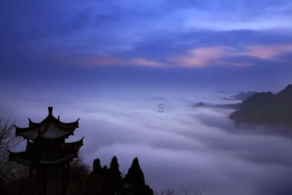 救援有趣的孔雀
