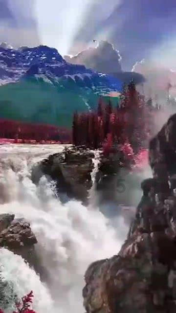 虫虫助手下载