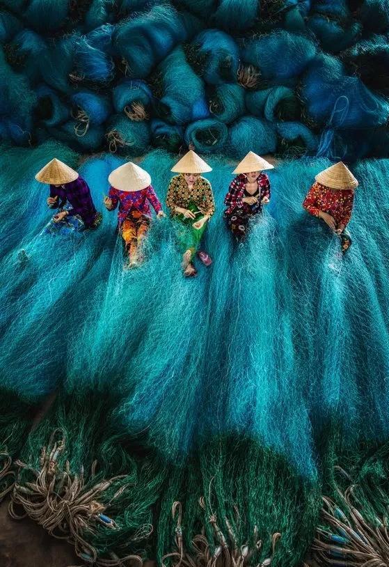 生化危机：浣熊市行动
