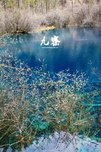 自由勇士历险记3