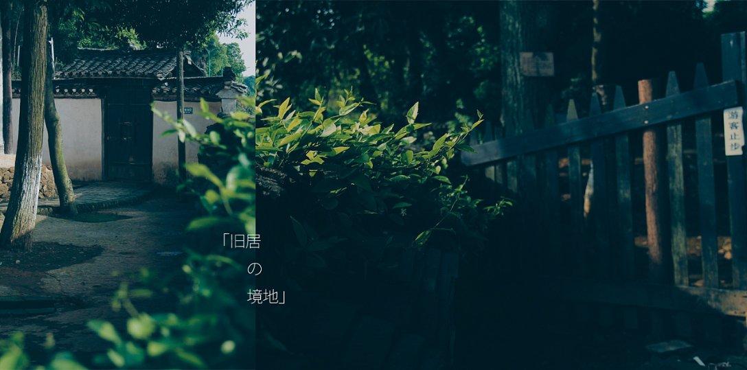 小猫钓鱼正版下载中文版