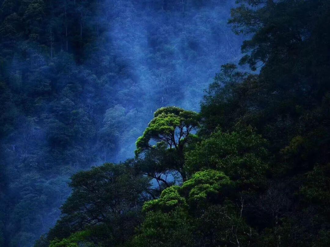 河清海晏