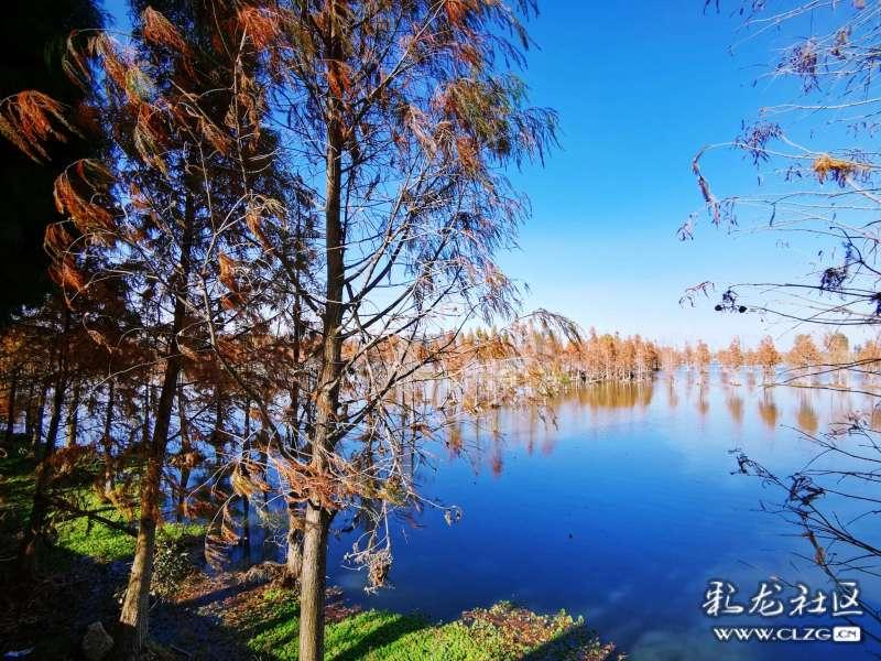 赫本，杨幂都爱的心机绑带，你真的会选会搭吗？游戏画面