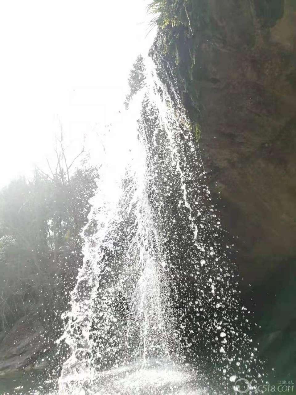 拯救小松鼠