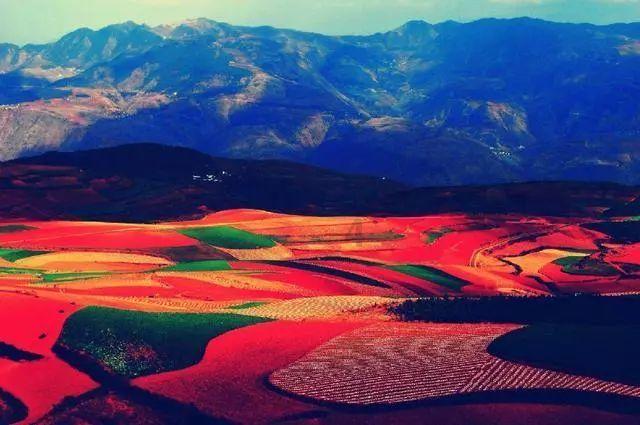 甜蜜糖果岛