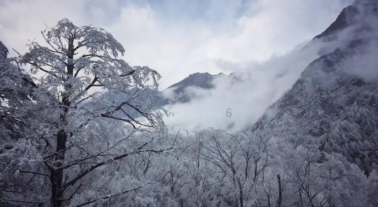 铁血铸诗篇：记辽东抗联志士刘子奇烽火岁月