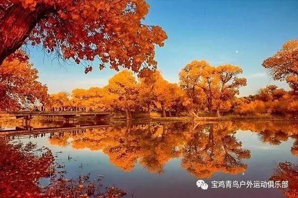 米妮彩色书