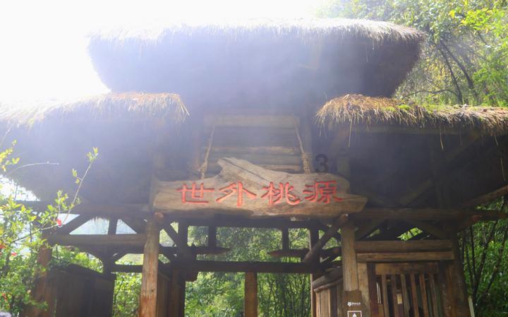 重温年度记忆,汇聚奋进力量——平度市第三人民医院召开中层述职述廉述法大会