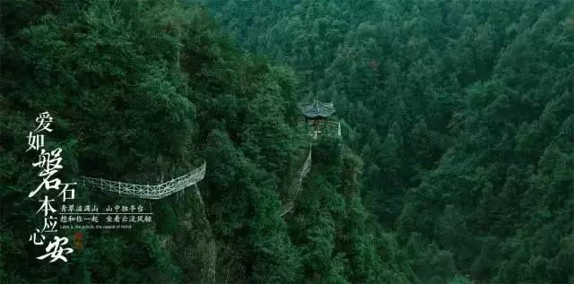 厉害了我的巧虎6