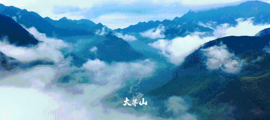 球球大作战下载最新版