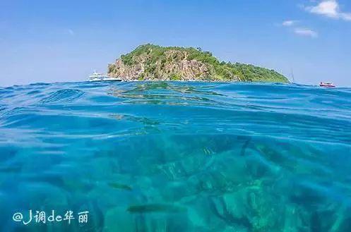 燃烧吧大脑免广告最新版