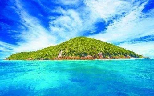 大鹰森林逃生