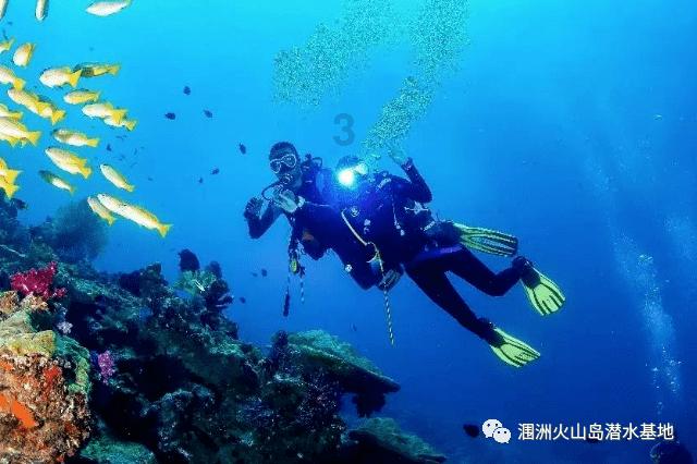 燃烧吧大脑免广告最新版