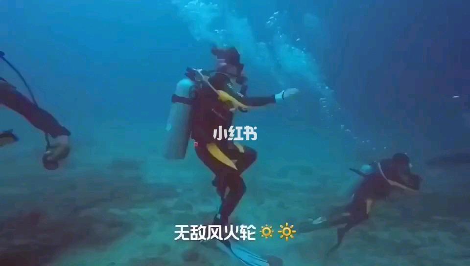 黑道圣徒4