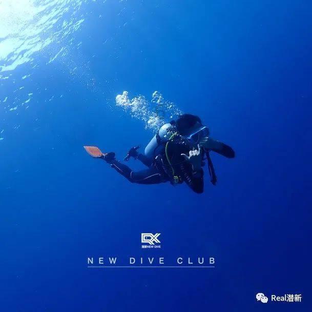 动物帮帮忙保卫家园