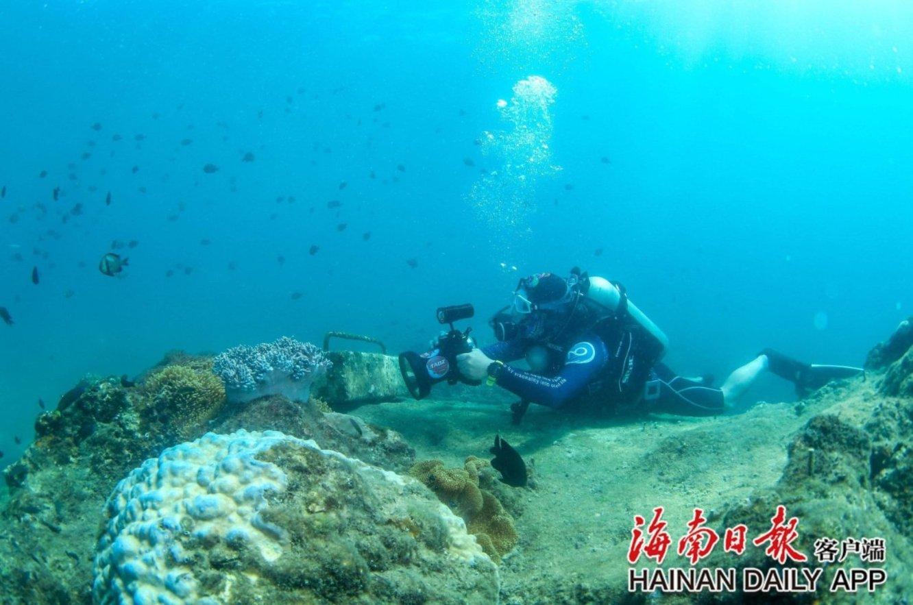 小摩:予网易-S“增持”评级 目标价195港元