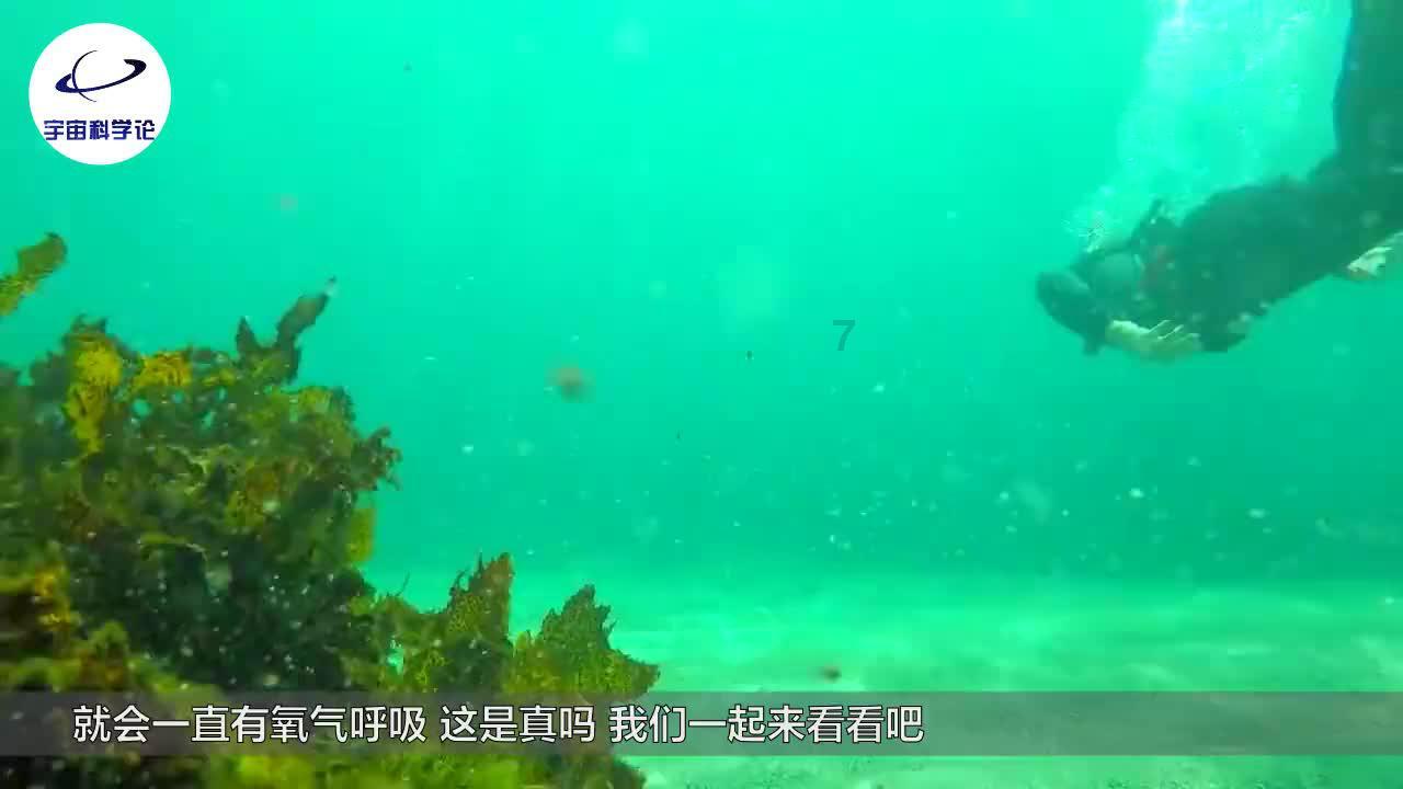 坎巴拉太空计划