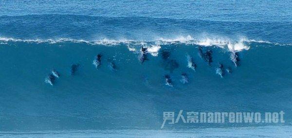 小猫钓鱼游戏龙王版有船