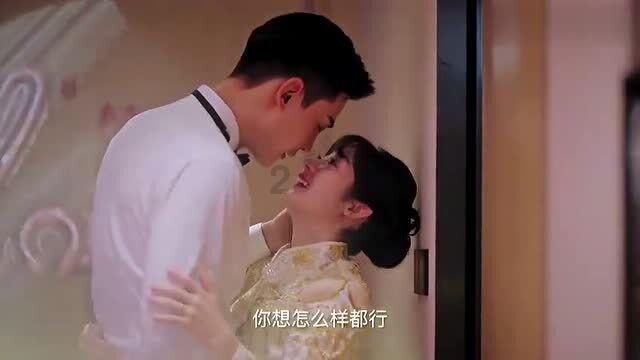 五彩鹦鹉救援