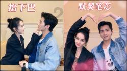 白莲花守则