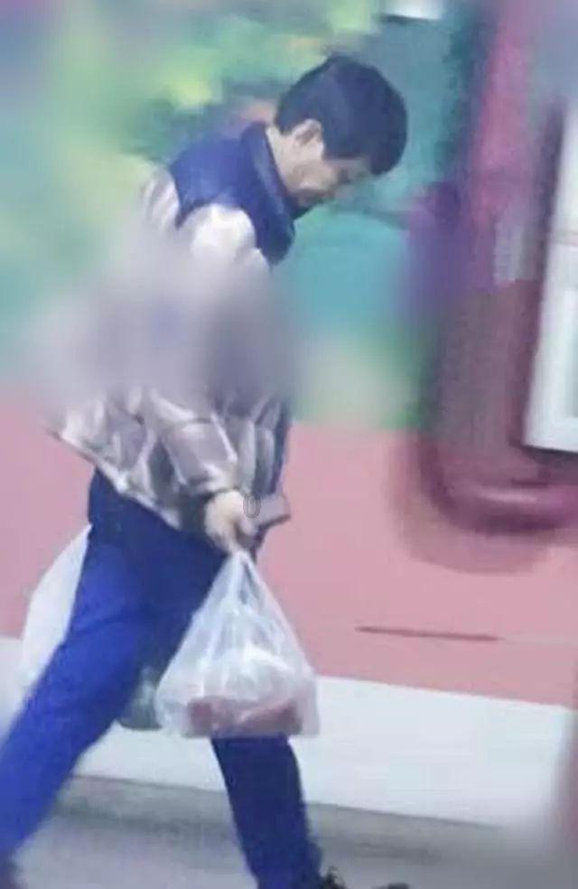 小猫钓鱼正版下载中文版