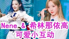 森迪公主快乐的一天