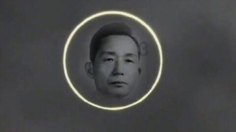 虫虫助手下载