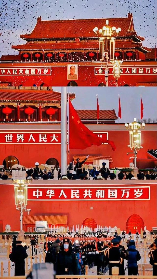 虫虫助手下载