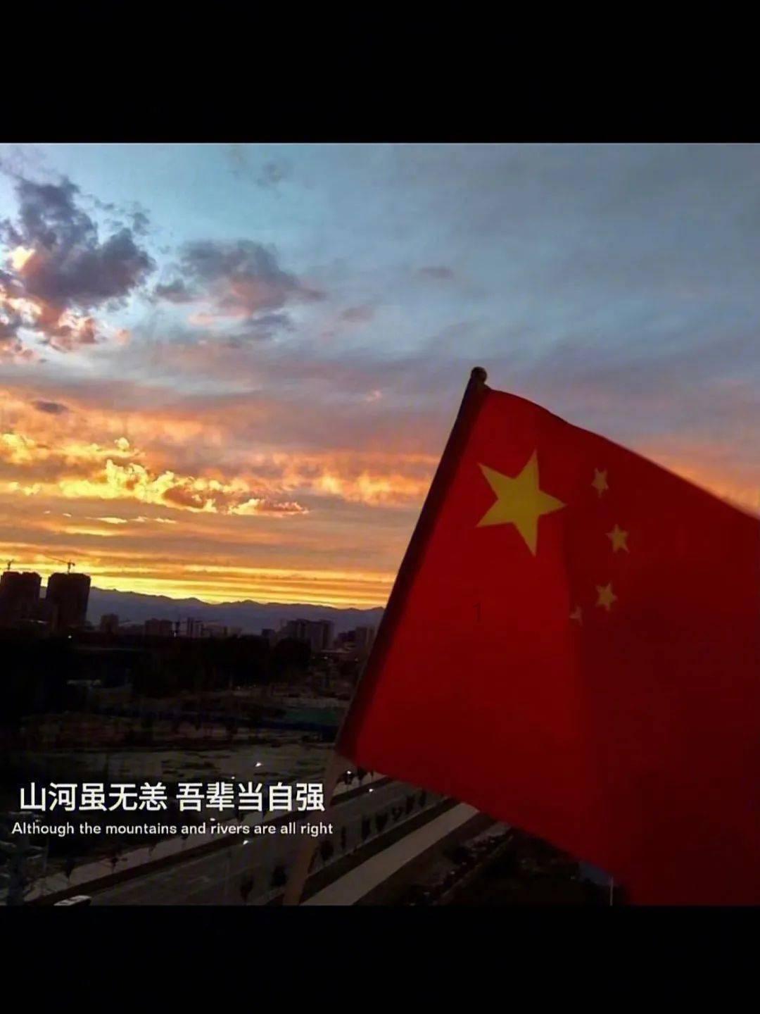 动物帮帮忙保卫家园