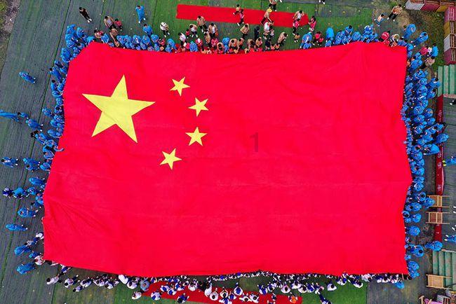 虫虫助手下载