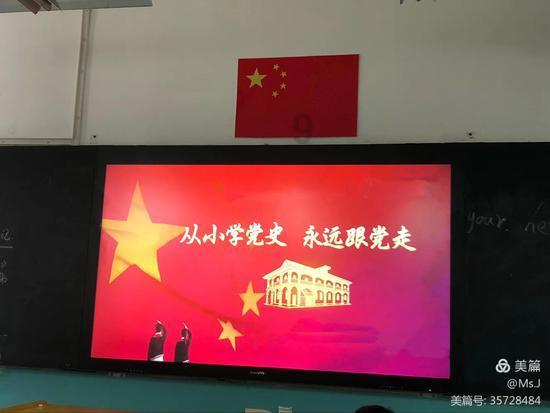 养猫要准备些什么东西啊？游戏画面