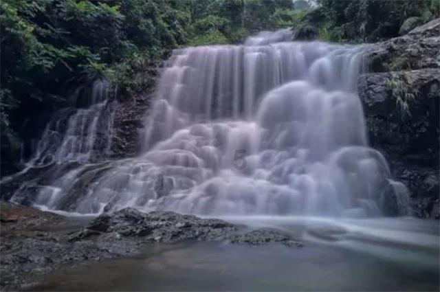 精灵格蕾