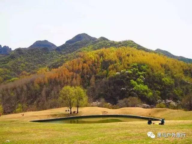 三国中，诸葛亮第一次北伐的意图究竟是什么？游戏画面