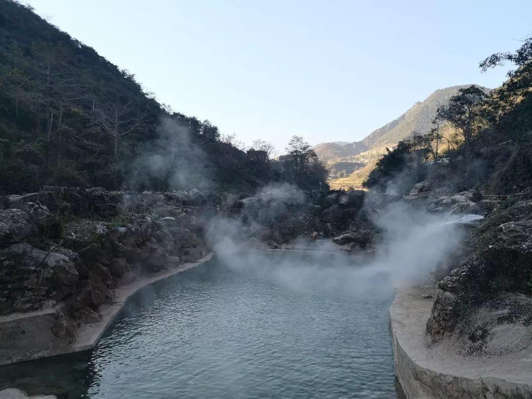 逃离橙园