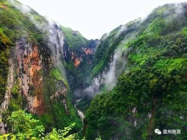 沪江开心词场