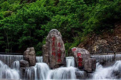 小猫钓鱼游戏龙王版有船