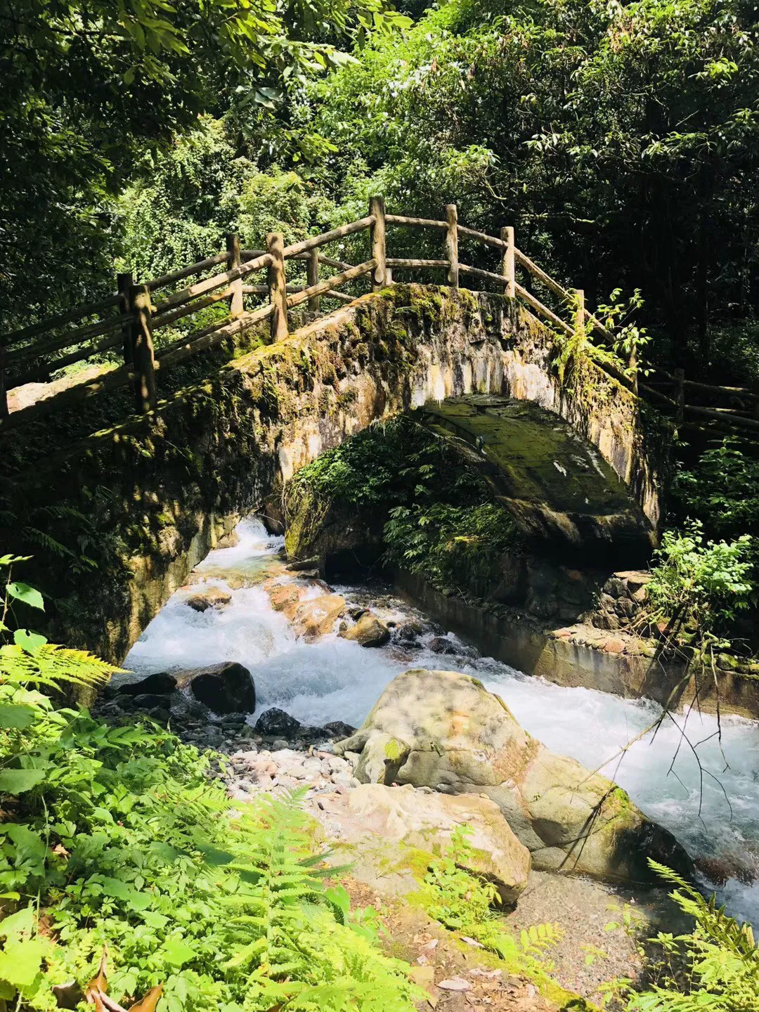 熊出没百层大冒险