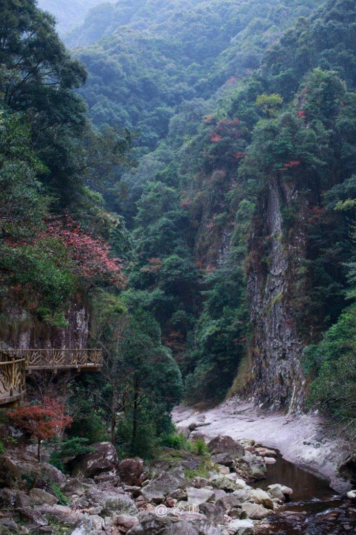 春雨直播app