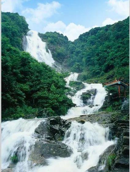 战锤：全面战争2