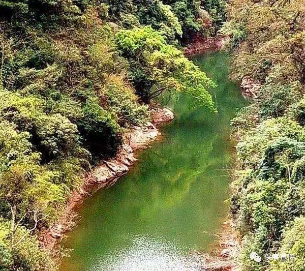 小猫钓鱼开船版最新版下载