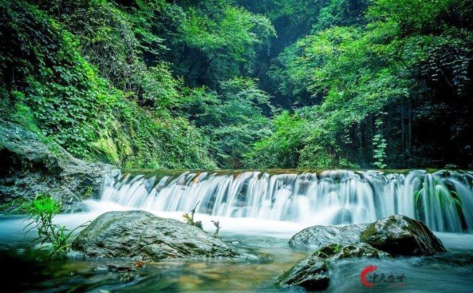 春雨直播app