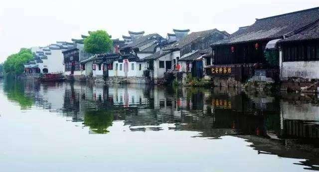 救援顽皮小猴