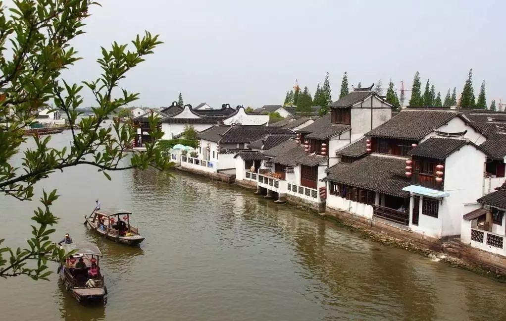 组装机械机甲暴龙2