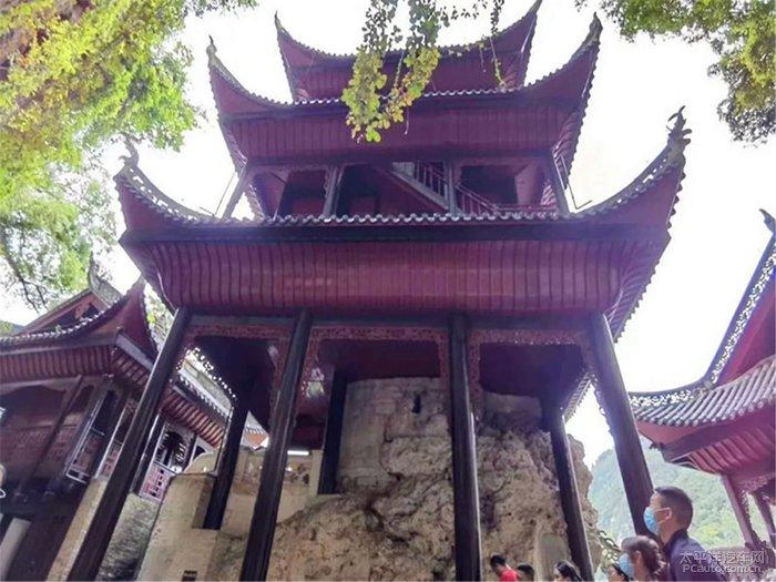 燃烧吧大脑免广告最新版