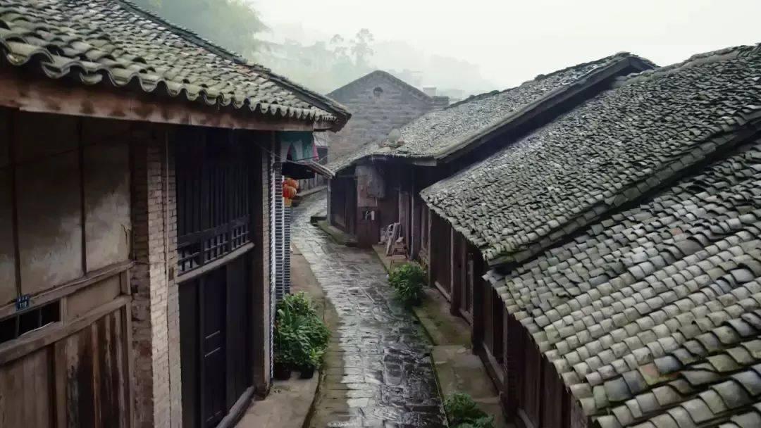 鲫鱼怎样做好吃有哪些功效游戏画面