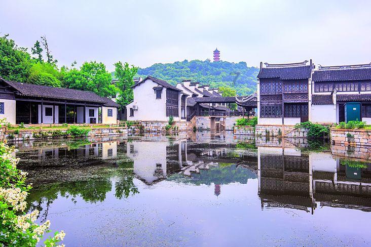 生化危机：浣熊市行动
