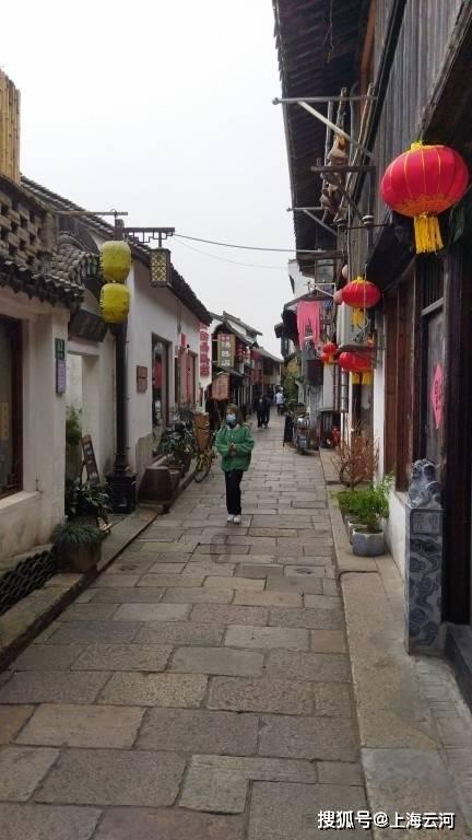 逃出小象森林