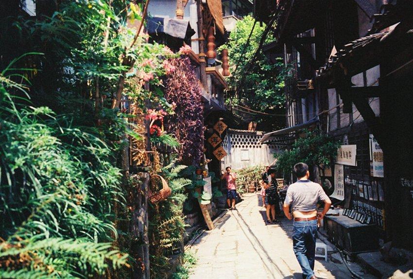 沃柑丰收 甜上心头