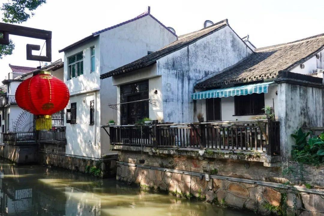 逗小猴开心系列206