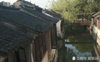 救援小袋熊